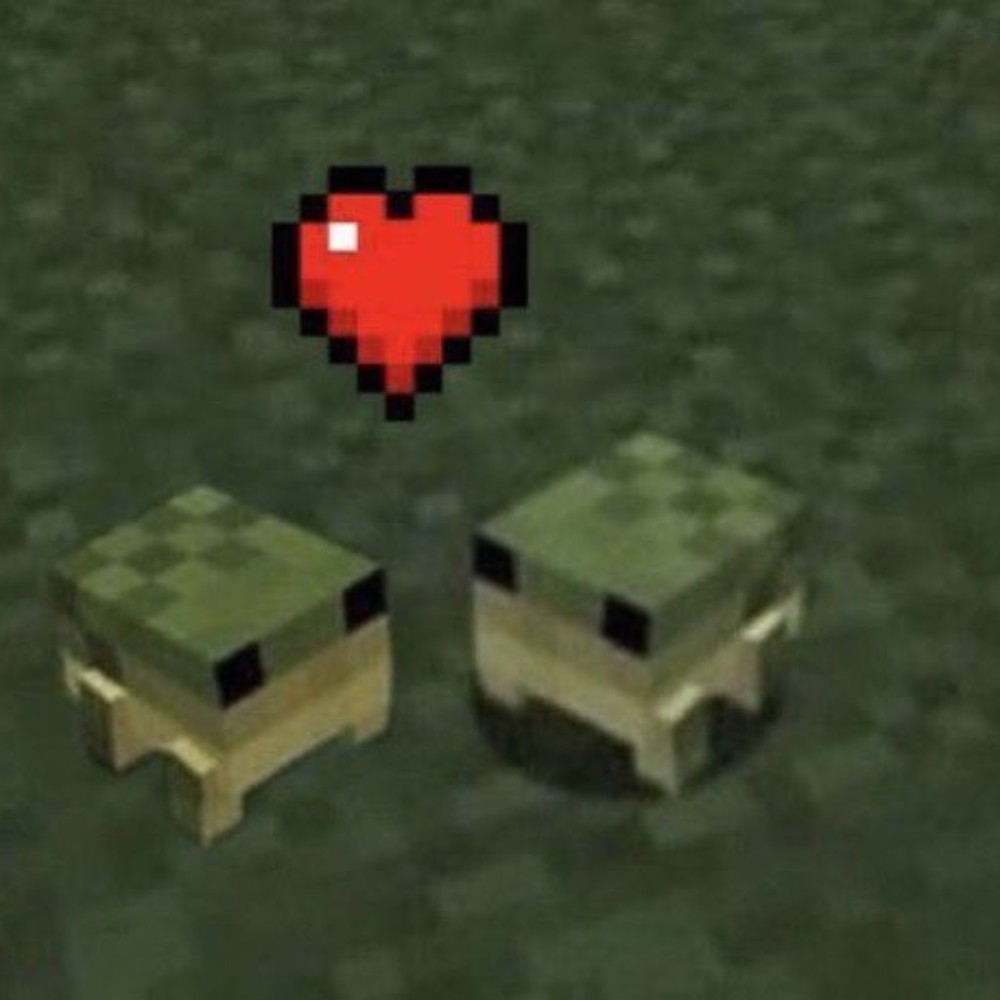 Meet your Posher, Izabella